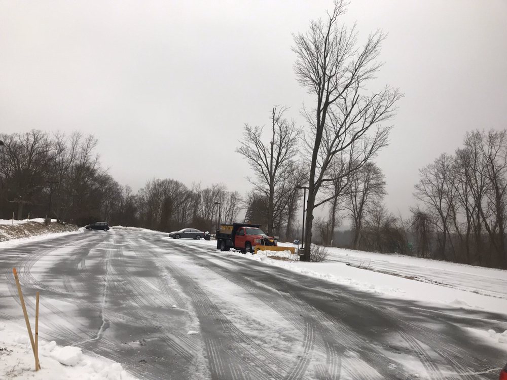 Soriano Landscaping and Construction - tree service in Waltham, MA