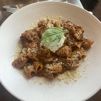 OLIVIA - 24 hr Bolognese - Italian Near Me - Tampa, Florida OLIVIA - 24 hr Bolognese - Italian Near Me - Tampa, Florida