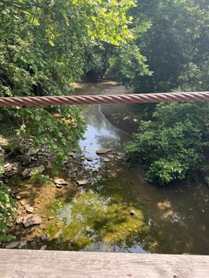 Big Bone Lick State Historic Site by null