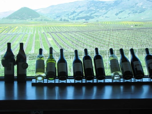 Edna Valley Vineyard by null