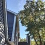 Photo of The 1 Tree Service