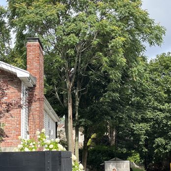 Nelson's Hardscape & Tree Service - Tree Services Near Me
