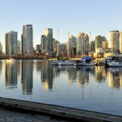 False Creek Dental Centre