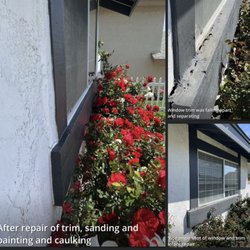 Butterfly Painting and Drywall - Window trim repair.