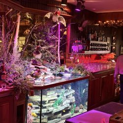 Duck Inn - Beautiful fresh water fish tank!