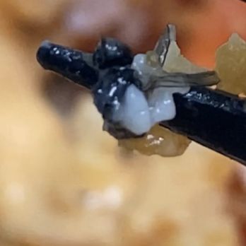 Wendy's - the fly I found in my Spicy Buffalo Chicken Salad - Fast Food Near Me - Orange, California Wendy's - the fly I found in my Spicy Buffalo Chicken Salad - Fast Food Near Me - Orange, California