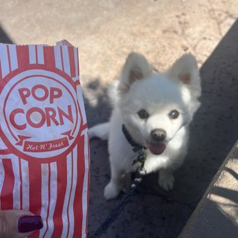 Red Carpet Car Wash - Free popcorn - Car Wash Near Me - Clovis, California Red Carpet Car Wash - Free popcorn - Car Wash Near Me - Clovis, California