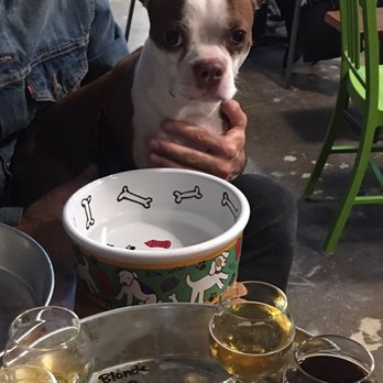 Begyle Brewing - Dog friendly brewery - Breweries Near Me - Chicago, Illinois Begyle Brewing - Dog friendly brewery - Breweries Near Me - Chicago, Illinois