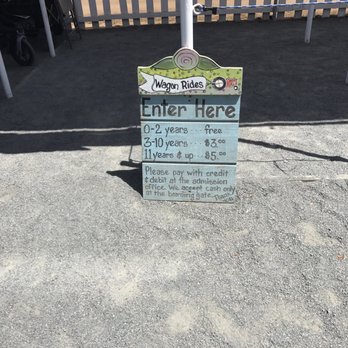 The Flower Fields - Wagon ride - Venues & Event Spaces Near Me - Carlsbad, California