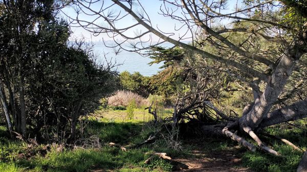 Cesar Chavez Park by null