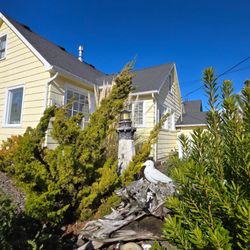 The Gull Cottage