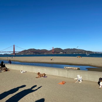 Dog Gone Good! - Stay exercise on a busy beach with lots of distractions. - Pet Training Near Me Dog Gone Good! - Stay exercise on a busy beach with lots of distractions. - Pet Training Near Me