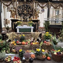 St.-Nikolai-Kirche - Erntedank | St. Nikolei  | Alter Markt Stralsund