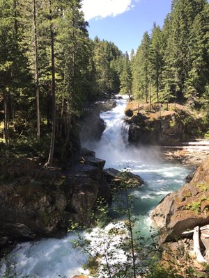 Ohanapecosh Campground by null