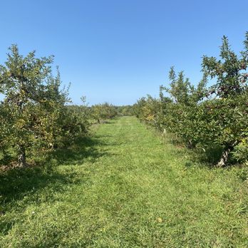 Eddy's Fruit Farm - Fruits & Veggies Near Me - Chesterland, Ohio