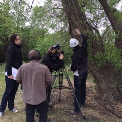 Classic Landscapes - Perry doing a tree risk assessment for upcoming episode of Classic Landscaping on Global Television
