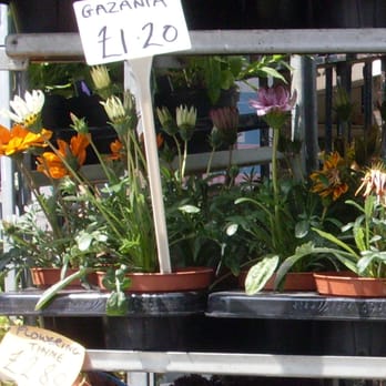 Market Florist Brighton - Florists Near Me - Brighton, BNH Market Florist Brighton - Florists Near Me - Brighton, BNH
