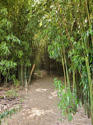 Fantastic Umbrella Factory by null