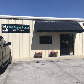The Puppy Plaza - The front of the building is cute and simple. She let me tour the inside of her workshop and it is very clean and organized! - Pet Groomers Near Me - Ozark, Missouri The Puppy Plaza - The front of the building is cute and simple. She let me tour the inside of her workshop and it is very clean and organized! - Pet Groomers Near Me - Ozark, Missouri