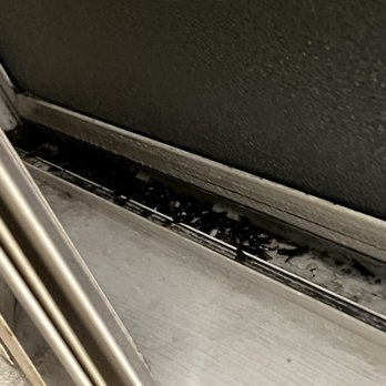 Terra House - Termites in the window seal coming in from outside - Apartments Near Me - San Jose, California Terra House - Termites in the window seal coming in from outside - Apartments Near Me - San Jose, California