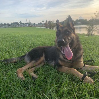 Applied Canine Concepts - Pet Training Near Me Applied Canine Concepts - Pet Training Near Me