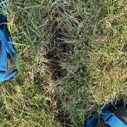 Advanced Irrigation - This is the 2x4 I left as proof of the lazy install job they did