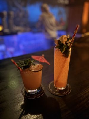 Tradition bar by null