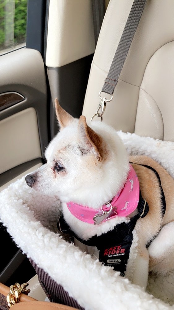 JENSEN BEACH SALTY DOG Updated August 2024 34 Photos & 18 Reviews 1553 NE Jensen Beach