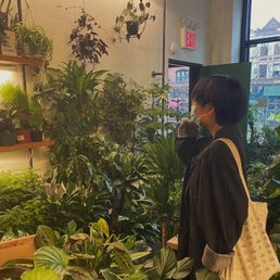 Inside the store Inside the store