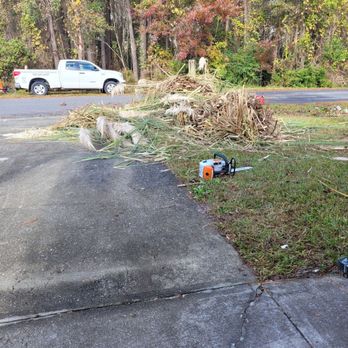 J & J Complete Tree Service - Pompous grass removal. - Tree Services Near Me - Galivants Ferry, South Carolina J & J Complete Tree Service - Pompous grass removal. - Tree Services Near Me - Galivants Ferry, South Carolina
