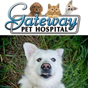 Gateway Pet Hospital Request Consultation Pet Stores 4391