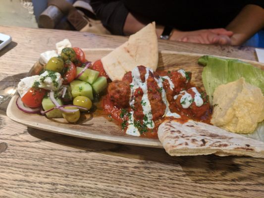 The Opposition by null