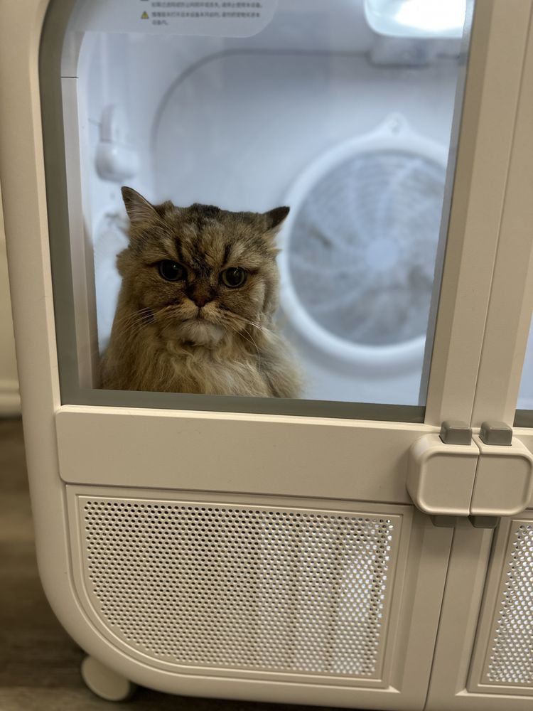 PET BELOVED 760 Photos & 47 Reviews 6375 El Cajon Blvd, San Diego