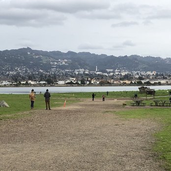 Cesar Chavez Park - Where are the dogs? - Parks Near Me - Berkeley, California