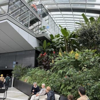 Sky Garden - Interior - Landmarks & Historical Buildings Near Me - London, XGL Sky Garden - Interior - Landmarks & Historical Buildings Near Me - London, XGL