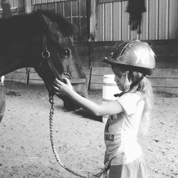 Breezy Bluff Riding Academy