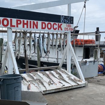 Dolphin Dock - The days catch. - Fishing Near Me - Port Aransas, Texas Dolphin Dock - The days catch. - Fishing Near Me - Port Aransas, Texas