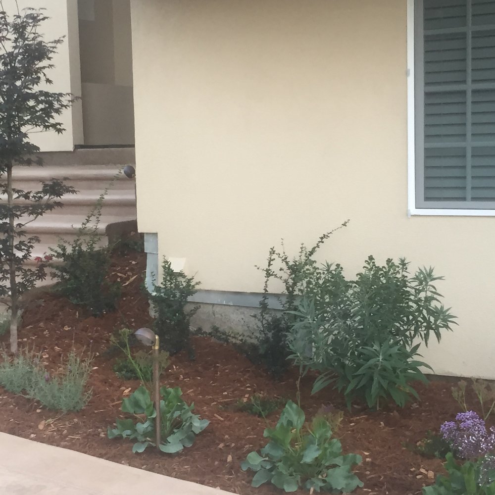 Larson Landscape - Landscaping Near Me - San Jose, California Larson Landscape - Landscaping Near Me - San Jose, California