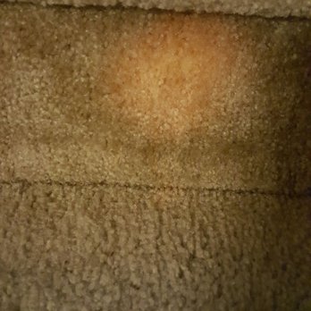 Dave's Carpet Cleaning - Carpet Cleaning Near Me - Tucson, Arizona