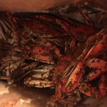 Wild Seafood - Seafood Markets Near Me - Jessup, Maryland