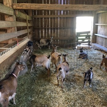 Conner Prairie - Barn - Museums Near Me - Fishers, Indiana