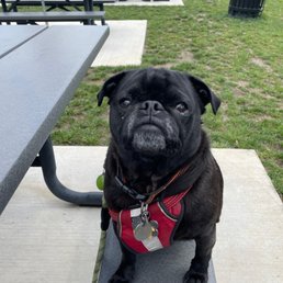 Snacking from the food truck!