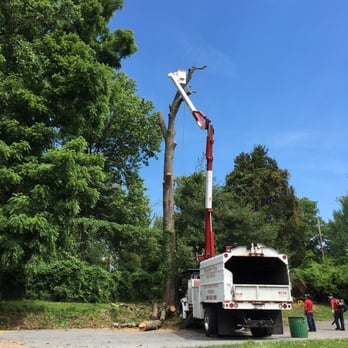 Mitsdarfer Brothers Tree Service - Snow Removal Near Me - Newark, Delaware Mitsdarfer Brothers Tree Service - Snow Removal Near Me - Newark, Delaware