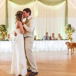 Newlyweds celebrate in The Preserve's indoor event center under a ceiling of lights.