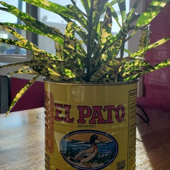 Polanquito - Tacos Near Me - Houston, Texas Polanquito - Tacos Near Me - Houston, Texas