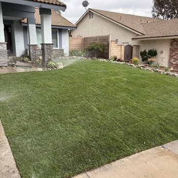 Rocha Landscaping - Completed job - tall fescue lawn - Succlents with drip tubing and rock edging - Tree Services Near Me - Chino, California Rocha Landscaping - Completed job - tall fescue lawn - Succlents with drip tubing and rock edging - Tree Services Near Me - Chino, California