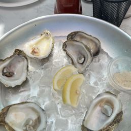 Raw Oysters