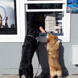 OMGosh a magic dog cookie window!