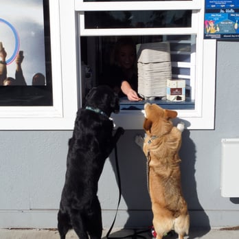 Dutch Bros Coffee - OMGosh a magic dog cookie window! - Coffee & Tea Near Me - Bend, Oregon
