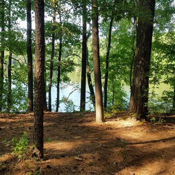 Sandy Bottom Nature Park - Parks Near Me - Hampton, Virginia Sandy Bottom Nature Park - Parks Near Me - Hampton, Virginia